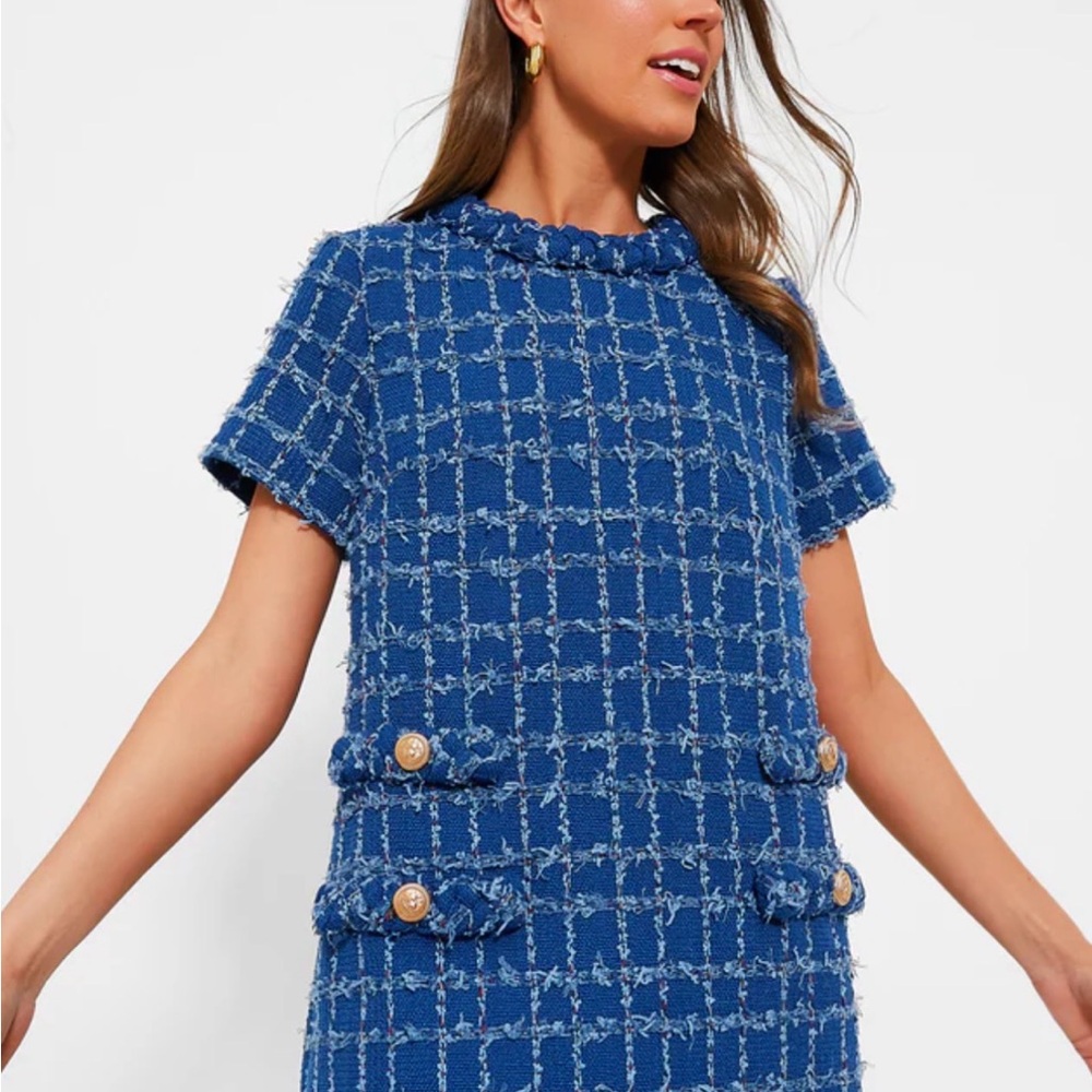 Tuckernuck Blue Tweed Short Sleeve Dress